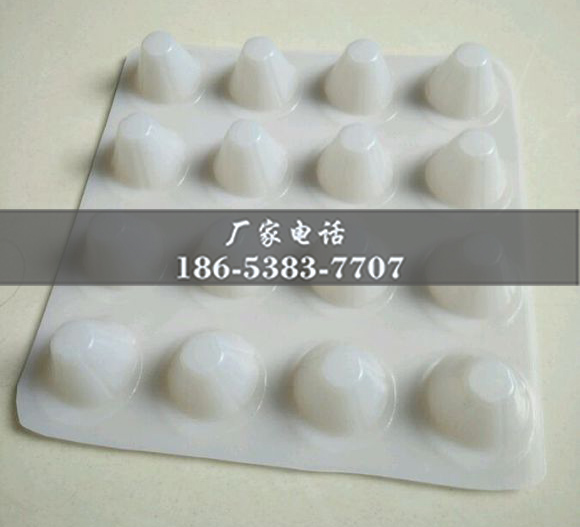 排水板廠家http://m.531153.com/